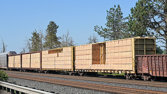 Train cars loaded with plywood in Beaverton, Oregon, USA.