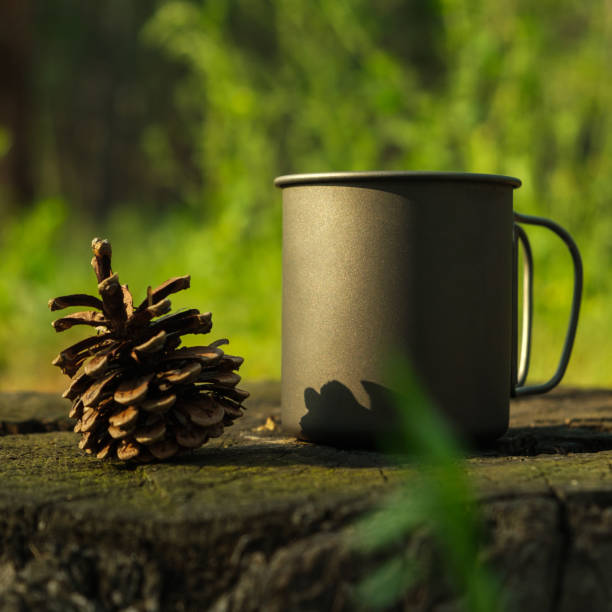 une tasse en titane et une pomme de pin se dressent sur une souche dans une forêt - the crusades photos et images de collection