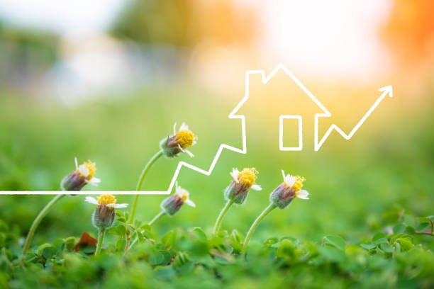 Real estate growth chart pattern drawn with white chalk and blooming flowers.