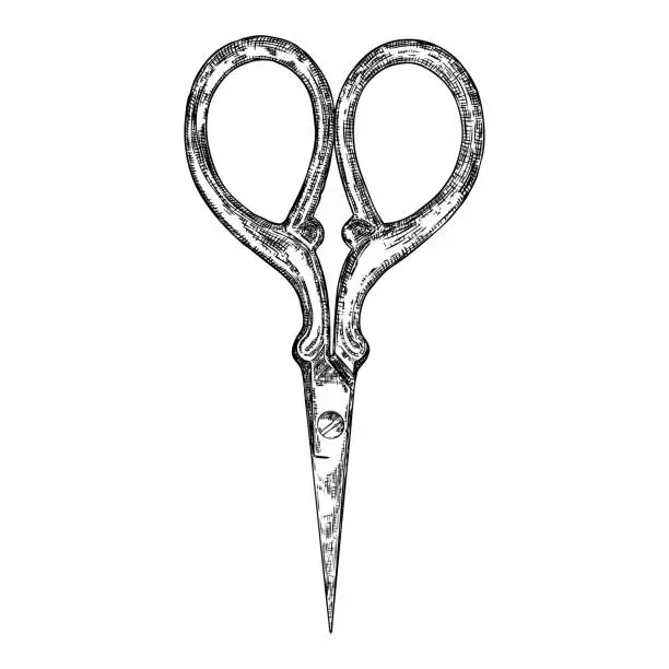 Vector illustration of Decorative scissors engraving illustration on white background. Hand drawing. Witch magic tool. Vector.