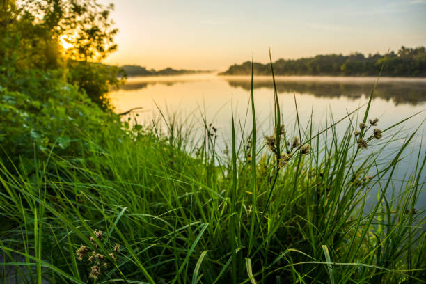 istock Quiet summer morning on the river 1332371271