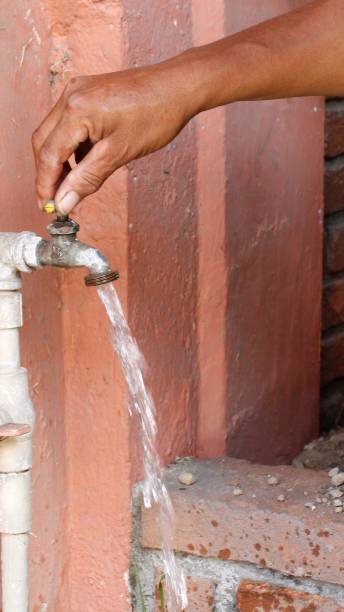 istock cleaning and maintenance activity for a house 1332372497