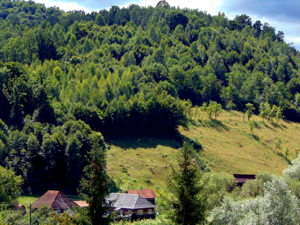 istock landscape in Maramures county, Romania 1332373451