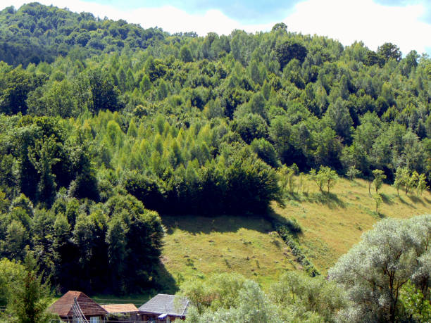 landscape in Maramures county, Romania