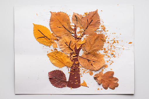 Children's craft. Tree and dry autumn leaves