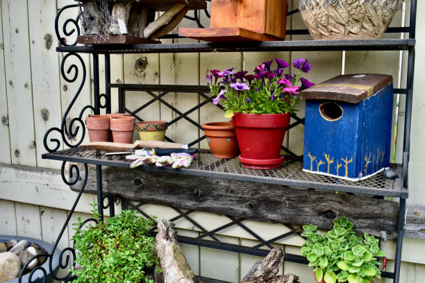 istock Outdoor backyard decorative birdhouses arranged on iron potting table 1332377450