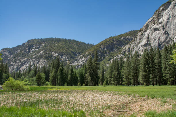 istock Zumwalt Meadows in King Canyon National Park 1332377697