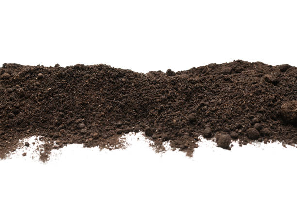 istock Black land for plant isolated on white background. 1332378701