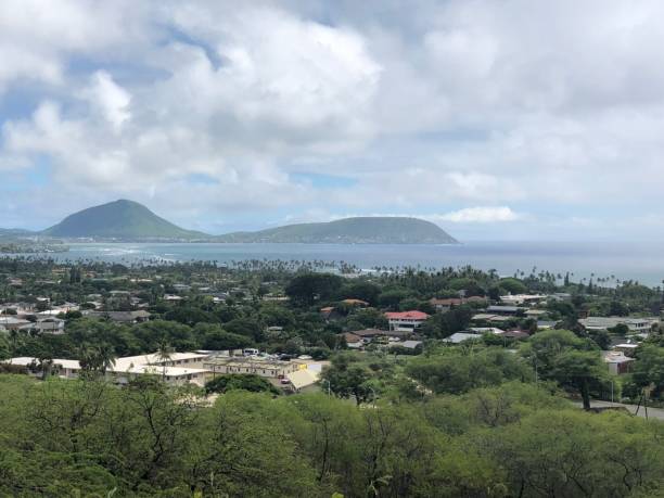 istock Hawaii Landscape - town with craters in background 1332379903