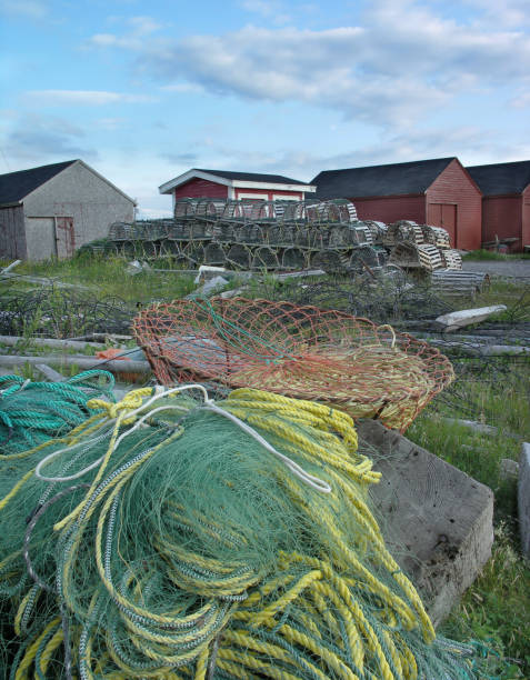 istock Newfoundland coastal bric-a-brac 1332380597