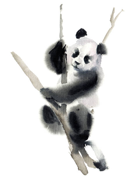 Watercolor panda bear Watercolor and ink illustration of panda bear on the tree. Oriental traditional painting by ink and watercolor in sumi-e style. chinese panda stock illustrations