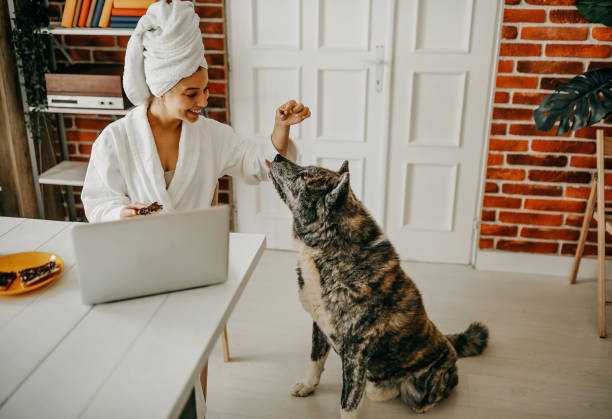 istock Woman and dog 1332382032