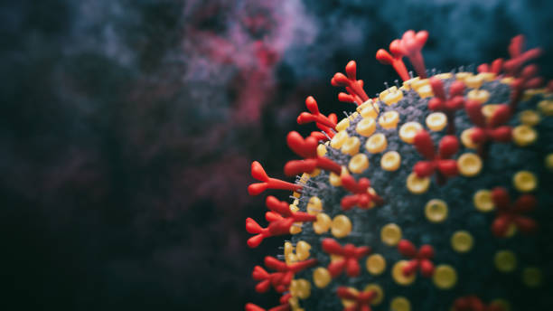 abs covid-19 전염병 - antibody 뉴스 사진 이미지