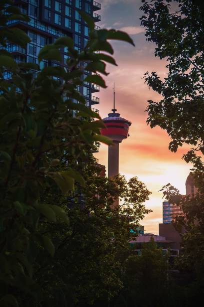 istock Sunrise Glowing Around The Calgary Tower 1332386479