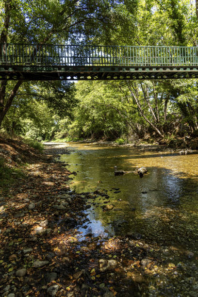 istock Suspension bridge over the creek between the trees. 1332387079