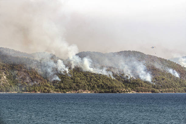 incendio nella pineta sulla montagna a marmaris, hisarönü, turchia - arid climate asia color image day foto e immagini stock