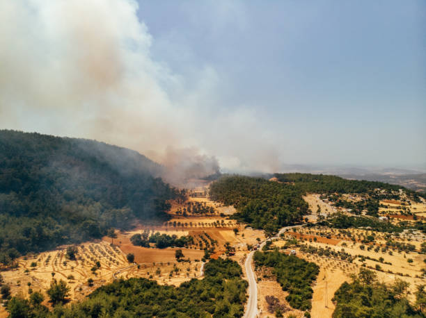 istock Aerial View Forest Fire in Red Pine Forests at Bodrum Turkey 1332388496