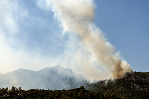 Pine forest fire and smoke on the mountain Marmaris, Turkey. August 2021