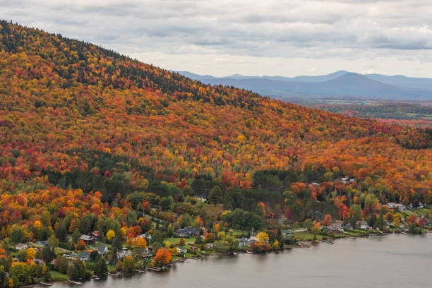 istock Lake and forest during autumn. 1332390398