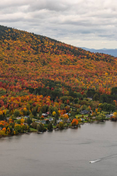 istock Lake and forest during autumn. 1332390399