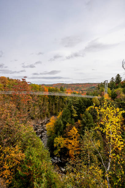 istock Pedestrian suspension bridge and forest during autumn. 1332390581
