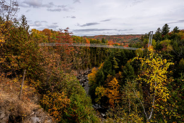 istock Pedestrian suspension bridge and forest during autumn. 1332390585