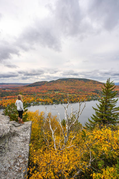 istock Woman looking at lake and forest during autumn. 1332390701
