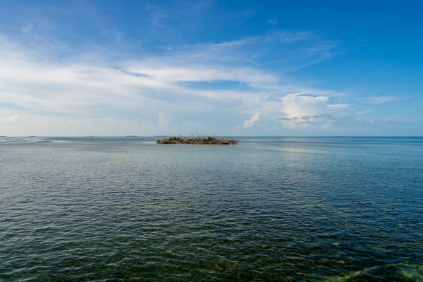istock Island in the Florida Keys USA 1332390806