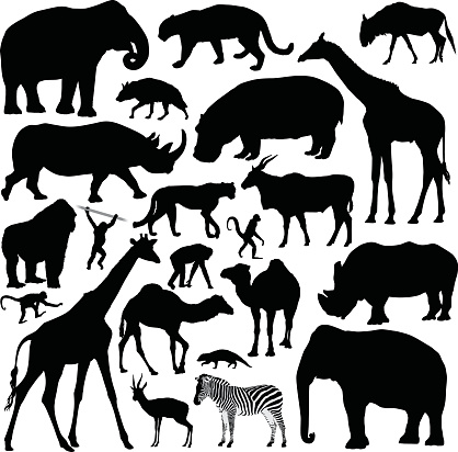 A collection of highly-detailed African animals.