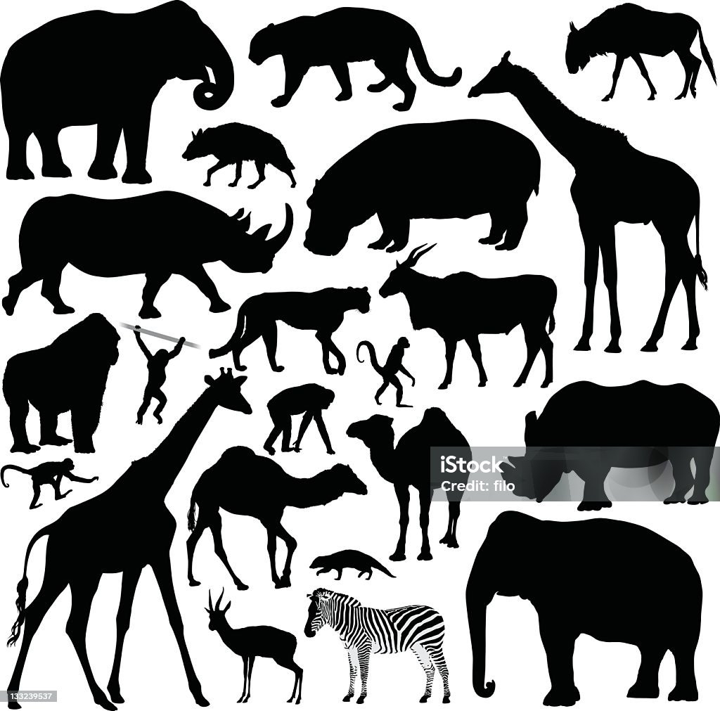 African Animals A collection of highly-detailed African animals. Animal stock vector