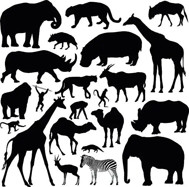 Vector illustration of African Animals