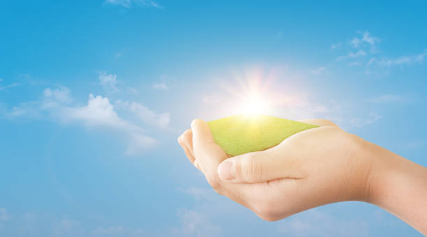 istock Hand holding green grass field over blue sky background. 1332400478
