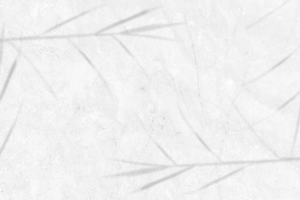 istock Tropical leaf shadow on white marble wall Background. copy space. 1332400999
