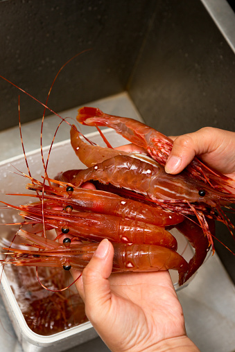 Size: 15 PCS/lb. Sustainable commercial spot prawn fishery in British Columbia contributes the largest value to the BC shrimp fishery.