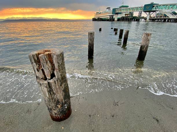 uferpromenade von edmonds, washington - snohomish county stock-fotos und bilder