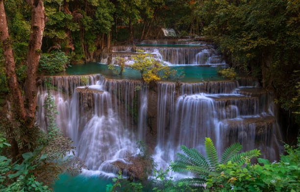 huay mae kamin cascade dans le parc national de khuean srinagarindra. la belle et célèbre cascade dans la forêt profonde, province de kanchanaburi, thaïlande - national park kanchanaburi province thailand waterfall photos et images de collection