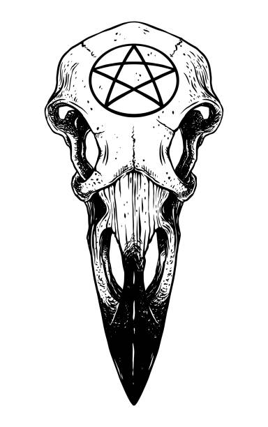 raven skull with pentagram raven skull with pentagram. vector illustration raven bird stock illustrations