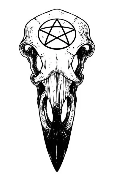 Vector illustration of raven skull with pentagram