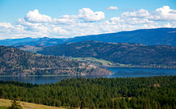 istock Okanagan Lake and Forestry Area 1332417172