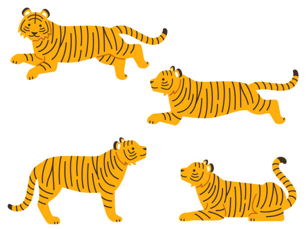 istock Illustration set of running tigers and sitting tigers 1332417946