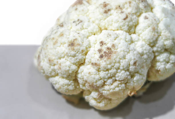 Moldy cauliflower on white background stock photo