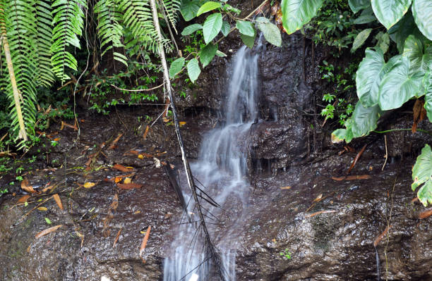 istock Small waterfall close from the river with smooth water 1332425714