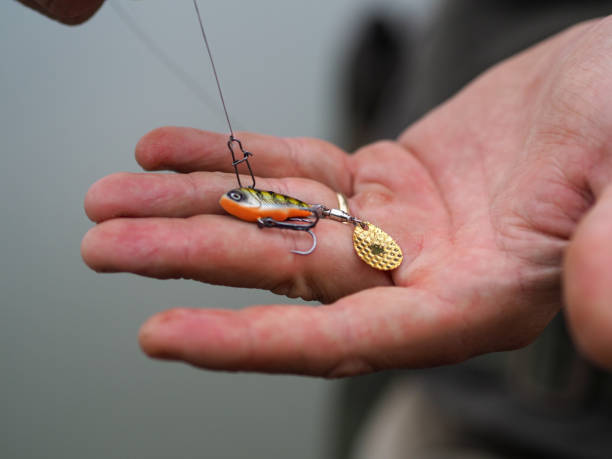istock spin fishing in the river 1332428543