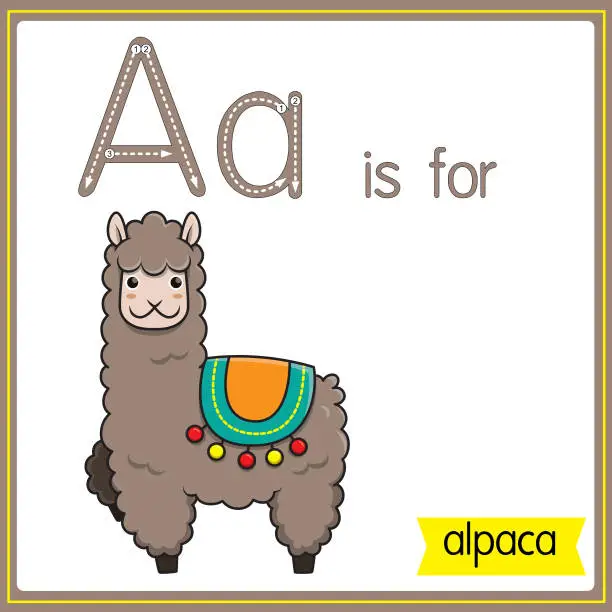 Vector illustration of Vector illustration for learning the alphabet For children with cartoon images. Letter A is for alpaca.