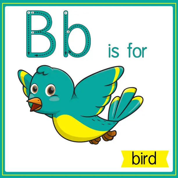 Vector illustration of Vector illustration for learning the alphabet For children with cartoon images. Letter B is for bird.