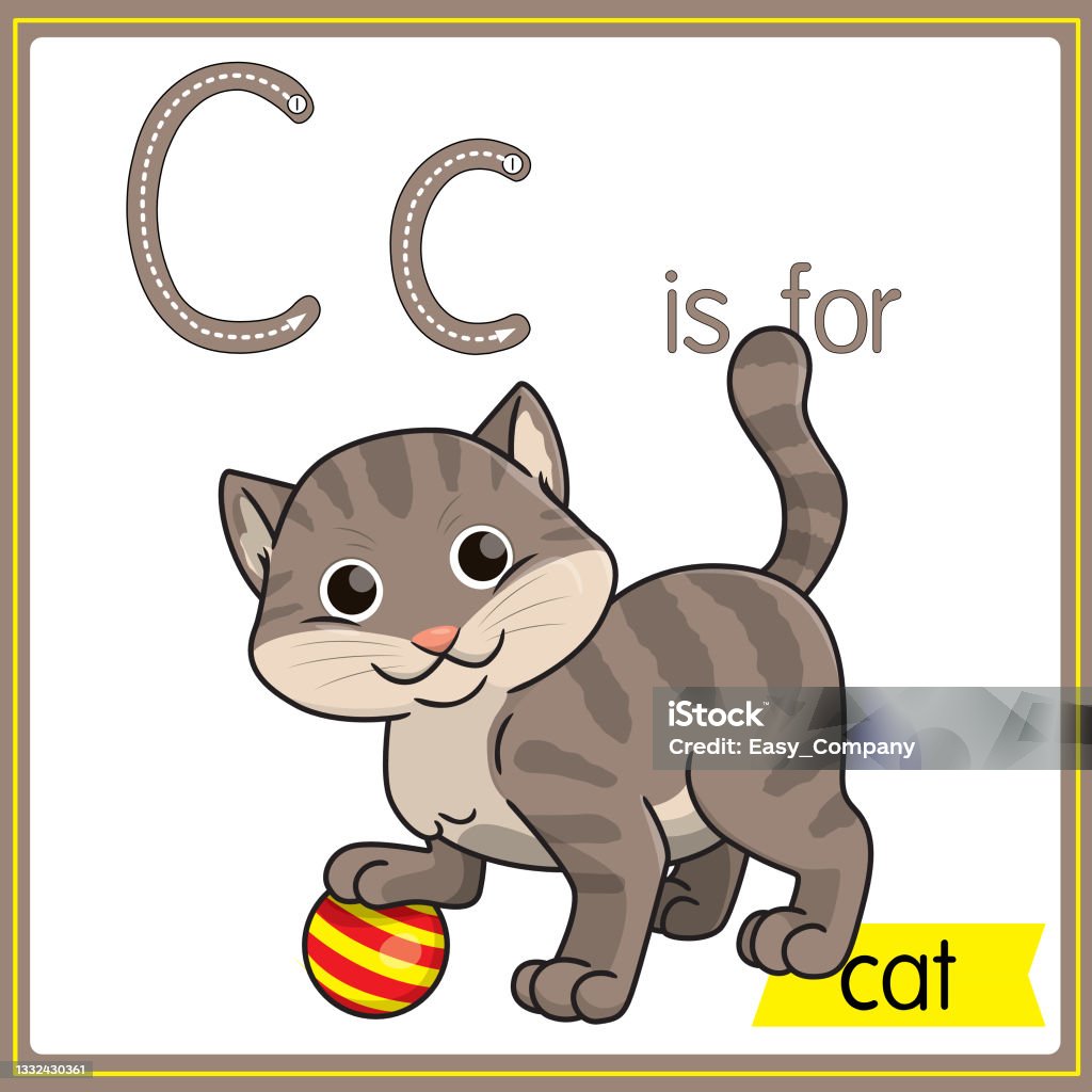 Vector Illustration For Learning The Alphabet For Children With Cartoon  Images Letter C Is For Cat Stock Illustration - Download Image Now - iStock