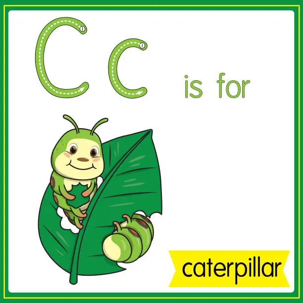 Vector illustration of Vector illustration for learning the alphabet For children with cartoon images. Letter C is for caterpillar .