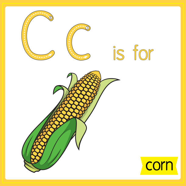 illustrazioni stock, clip art, cartoni animati e icone di tendenza di illustrazione vettoriale per l'apprendimento dell'alfabeto per bambini con immagini di cartoni animati. lettera c per il mais. - corn on the cob corn corn crop white background