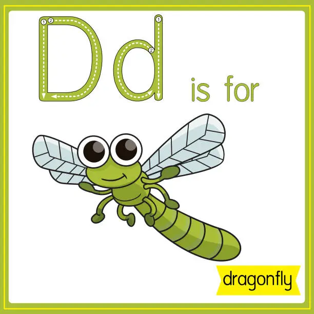 Vector illustration of Vector illustration for learning the alphabet For children with cartoon images. Letter D is for dragonfly.
