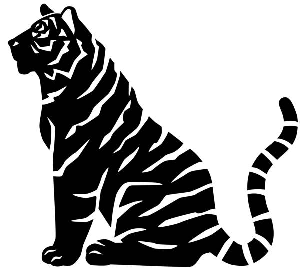 ilustrações, clipart, desenhos animados e ícones de material de ilustração da silhueta do tigre. lateralmente. pose sentada. - seated tiger